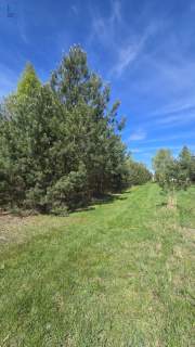 Działka w spokojnej okolicy w Janowie