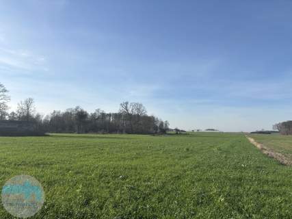 Ponad 6 ha ziemi idealne pod siedlisko, agroturystykę, st