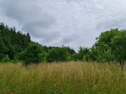Działka budowlana Oleszno 1,04ha