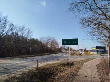 Usługi 9 775 m przy DW631 Skrzeszew Potencjał