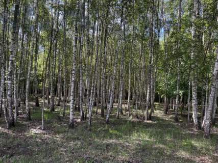 Urokliwa działka 2,54 ha przy Bolimowskim Parku Krajobrazowym