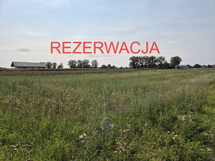 Do sprzedania działka 1246 m2