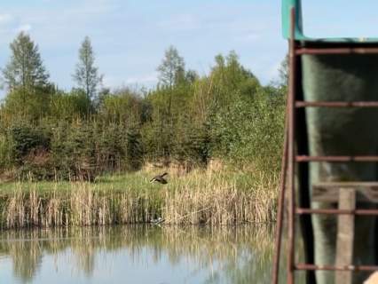 Siedlisko z pięknym domem i własnym stawem