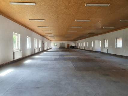 Magazyn do wynajęcia, 735 m2, Wąwelnica
