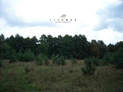 Działka leśna na sprzedaż Trojaczek
