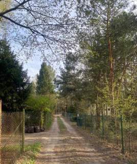 Wygodna działka wśród drzew