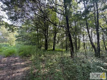 Działki budowlane w leśnym otoczeniu