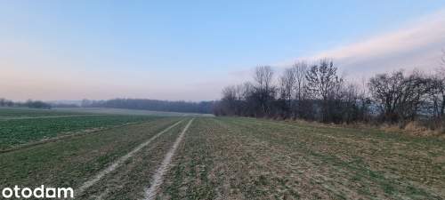 Na sprzedaż działka rolna Kraków
