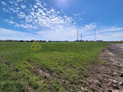 Działka mieszkaniowa 1804 m OKAZJA