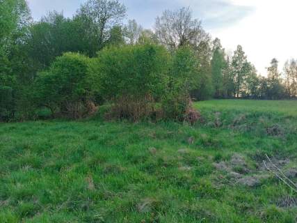 Działka budowlana Krzeszów 38 arów