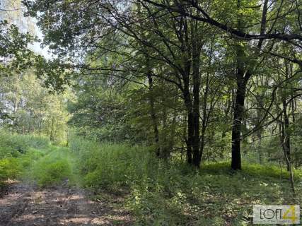 Duża działka z lasem , ponad 1,80 ha