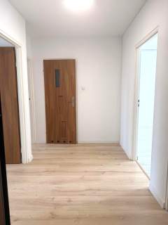 Mieszkanie do wynajęcia, 52,16 m2, Koło