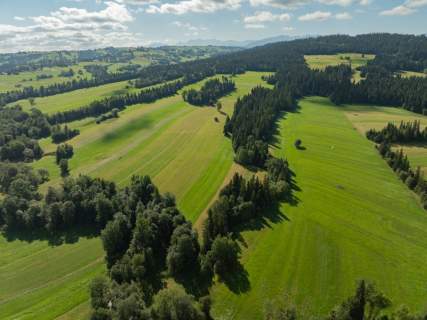 Działka budowlana i działki rolno-leśne Czerwienne