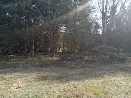 Działkę rolno-budowlaną w Bysławiu w Borach Tuchol, sprzedam