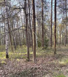 Podkowa Leśna, 2760 m2, MPZP mieszkaniowa