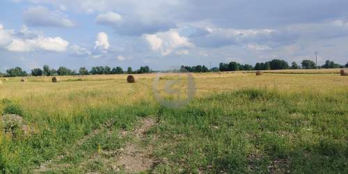 Działki w prądocinie na sprzedaż