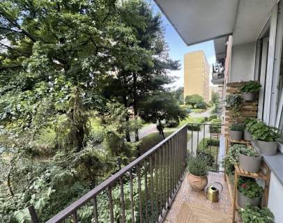 3 pokoje I PARK I Balkon I Rozkład
