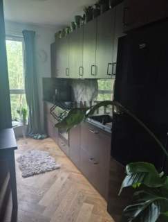 Okolica ul. Zielnej