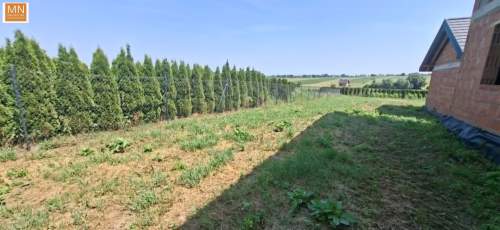 dom,3 garaże ,14a działka