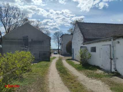 Przestronne siedlisko / Działka 3300 m / budynki gospodarcze...