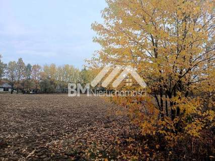 Budowlana, super lokalizacja, Odrano-Wola