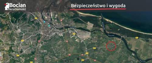 Duża, uzbrojona, płaska, słoneczna Wiślinka