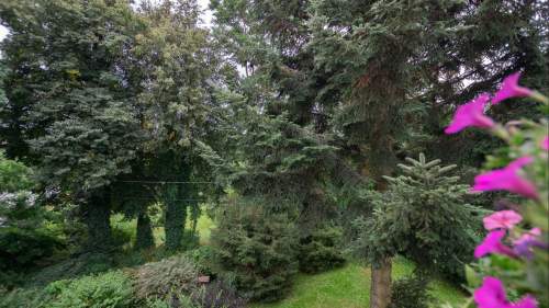 Mieszkanie - Pasłęk