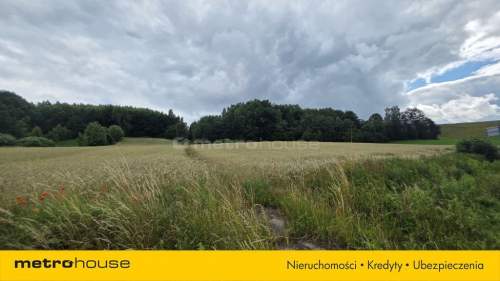 2,16 ha między jeziorami CHMIELNO I Kaszuby