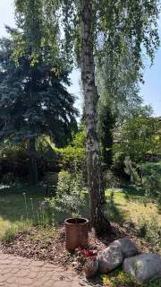 Dom w Komorowie z pięknym ogrodem