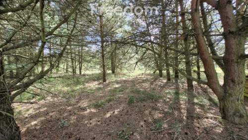 Działka rekreacyjna 677 m Miętkie Mazury MPZP 1ML