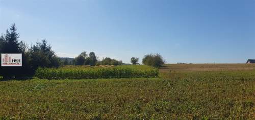 Młodziejowice, atrakcyjna, prawie płaska, 18 ar