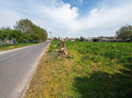 Duża, prostokątna działka blisko lasu 