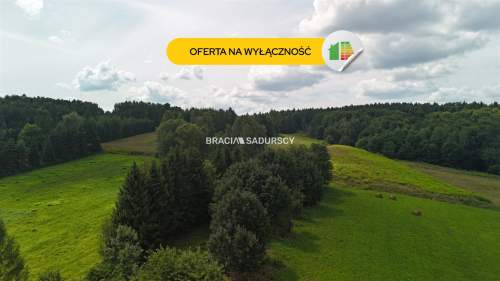 Działka budowlana o powierzchni 30 arów w Brodach