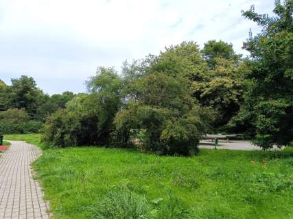 Wygodne M3 z balkonem do wprowadzenia 