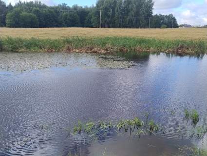Mazury Puszcza Borecka Działka Rolna 12,4469 ha