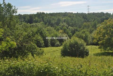 Nieruchomość budowlano -rolna w Lusinie