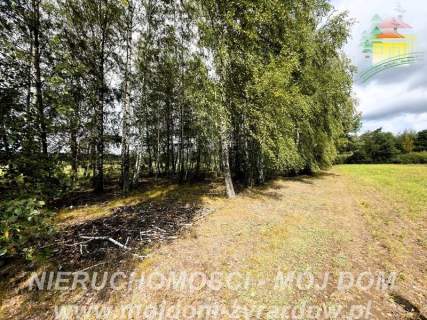 Działka rolno-leśna w Petrykozach - 16 975 m2