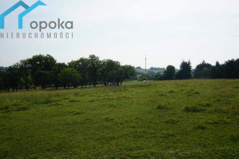 Duża działka w Cieszynie