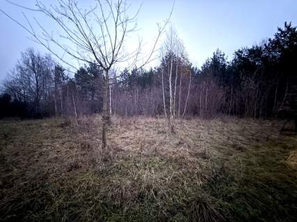 Okazja Duża działka rolna w Borkowie 9802m2
