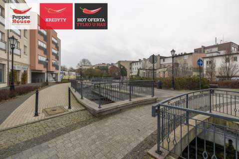 3 pokoje w centrum do wprowadzenia 