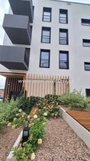 Rozkładowe 3 pokojowe, duże okna, balkon