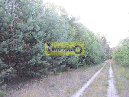 Działka w miejscowości Kłudno.