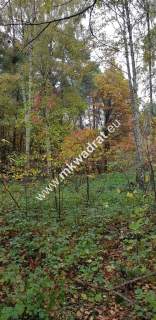 Działka budowlano-leśna z M-P-Z-P