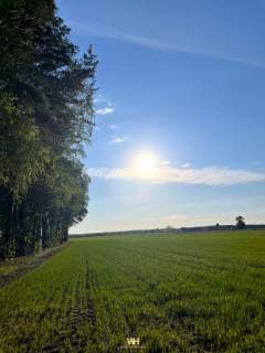 Nowoczesny Działka 800 m2 145 m2 Blisko Serock