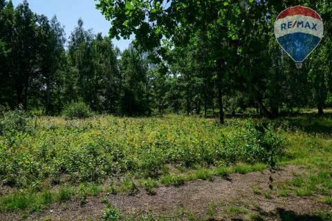 Działka budowlana 1002m2, Grądy k. Żyrardowa