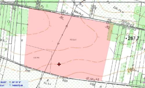 Zadbany las 10ha w jednym kawałku, front 400mb 