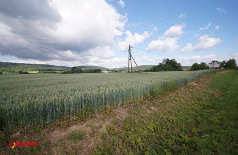 Działka inwestycyjna przy drodze Przemyśl - Arłamów, 19ar, Fre