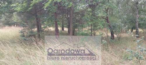 Duża działka budowlana blisko Żelechowa.