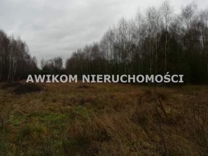 Działka rolna na sprzedaż, 15362 m2, Skierniewice