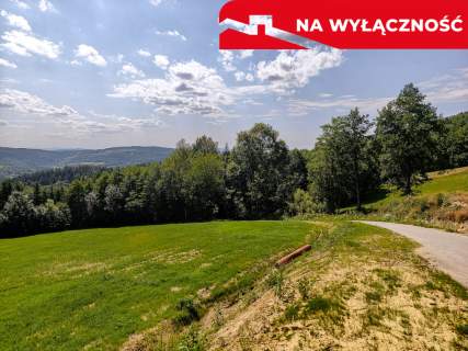 Działka 90 ar z Wz Olszowa, TANIO 